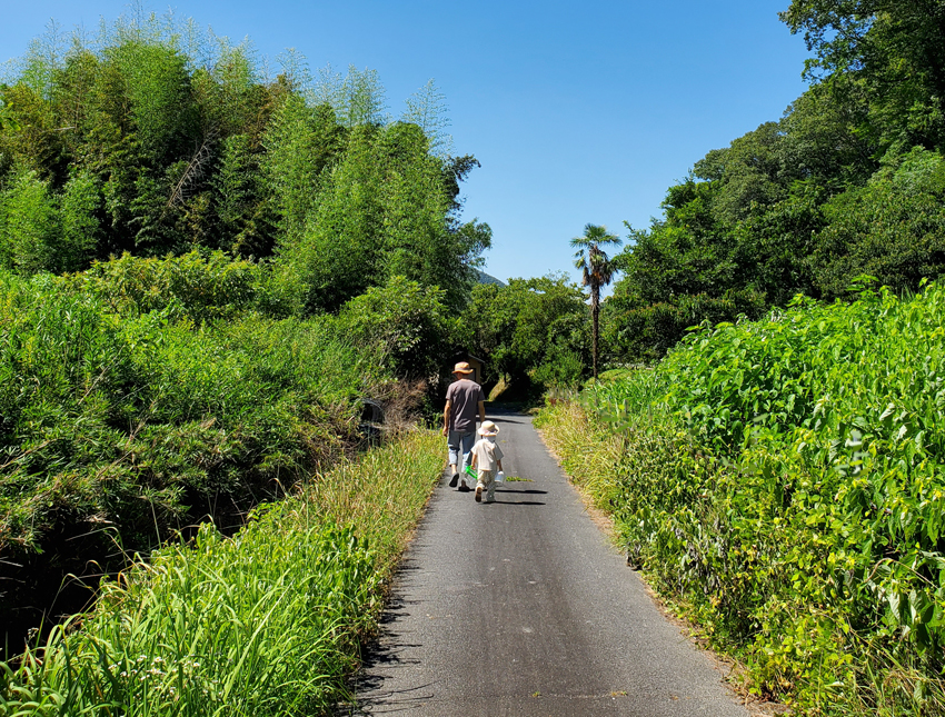 365 days simple life